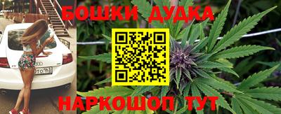 прущие грибы Абинск