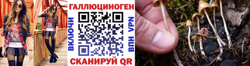 Псилоцибиновые грибы мицелий  Амурск 