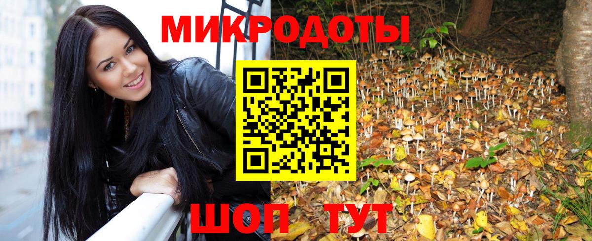 Галлюциногенные грибы Psilocybe Амурск