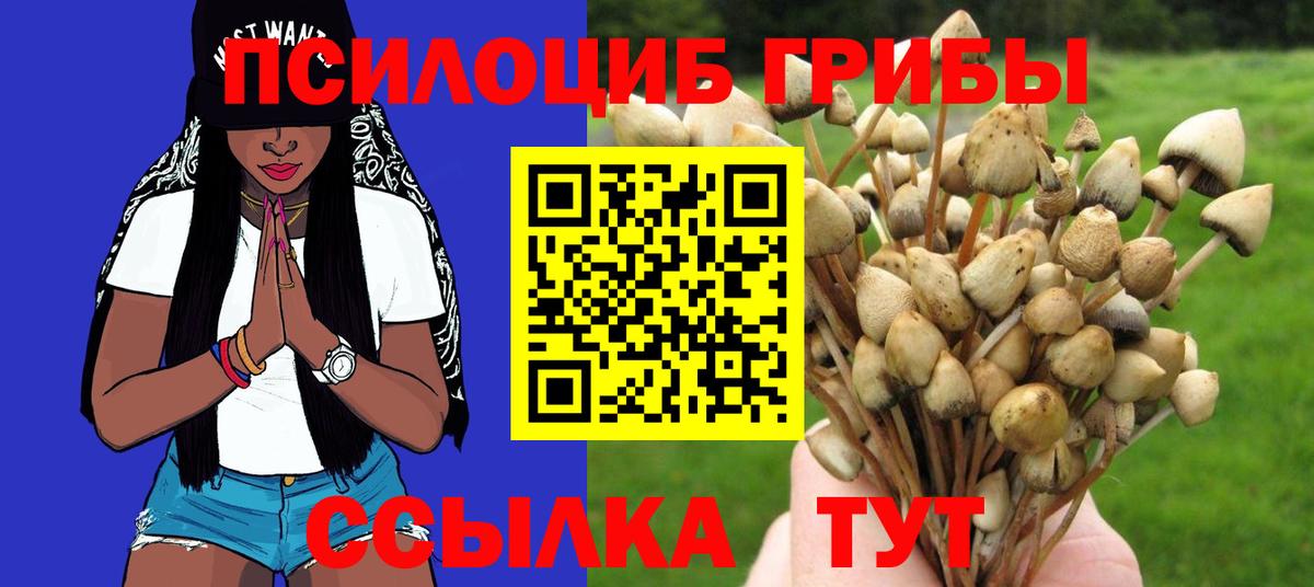 Псилоцибиновые грибы прущие грибы Амурск